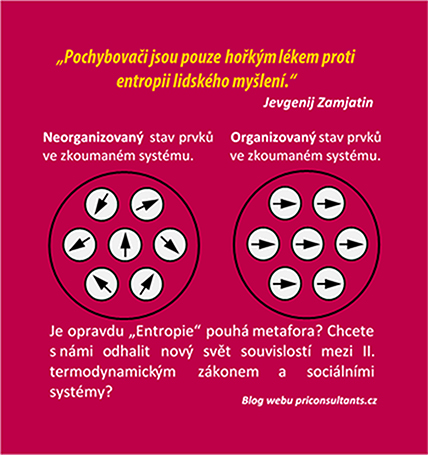 Entropie v sociálním systému organizace